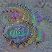 n02877765 bottlecap